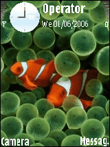 iPhone v5