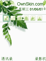 green-ludi