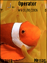 Nimo