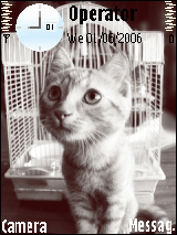 CuteKitten