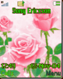 rose flower