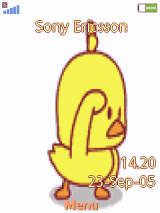 duck 
