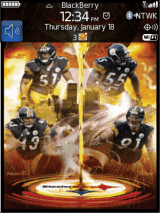 pittsburgh steelers