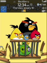 Angry BirdS