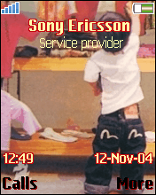 Evisu