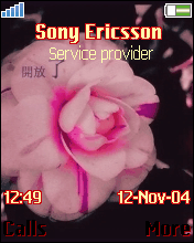 花开了